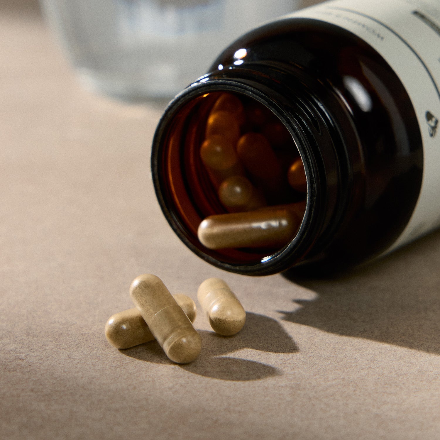 Daily Nutrients 2/Day Kapseln