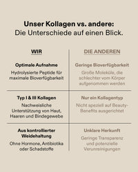 Collagen Peptides Plus+ Kapseln