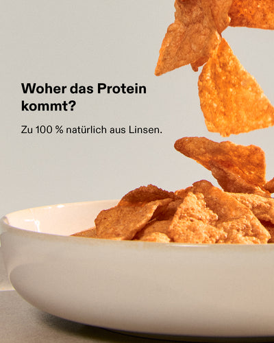 Protein Chips Tortilla Style (6er-Box) (4/6)