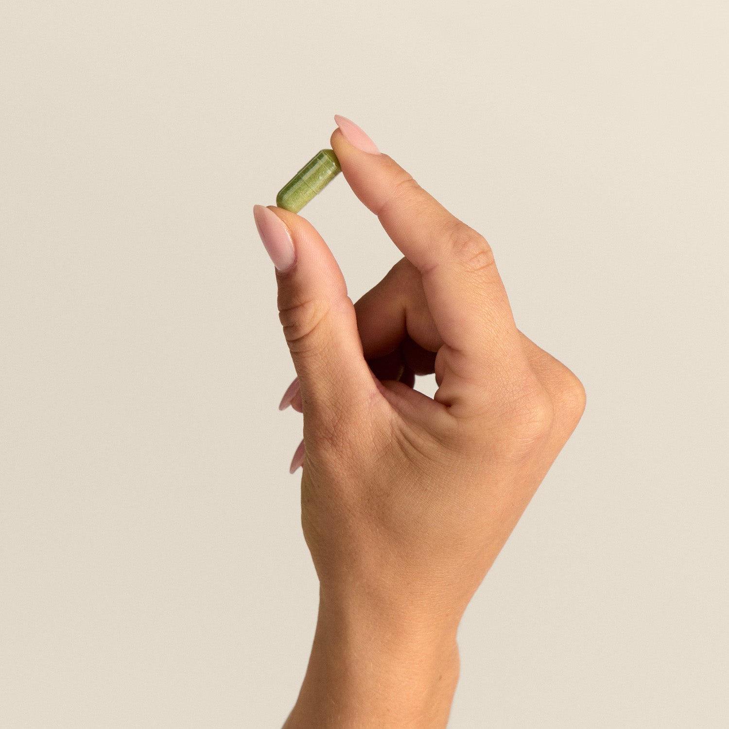 Moringa Complex Kapseln (1000mg) (2/5)