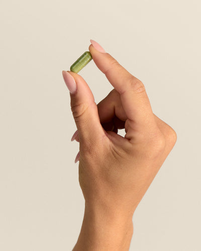 Moringa Complex Kapseln (1000mg) (2/5)